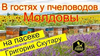 В гостях у пчеловодов Молдовы & На пасеке Григория Скутару