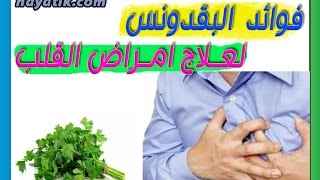 فوائد البقدونس لعلاج امراض القلب|علاج أمراض القلب|فوائد البقدونس|فوائد الزنجبيل|فوائد البقدونس للكلى