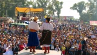 Свадьба в Малиновке-2012