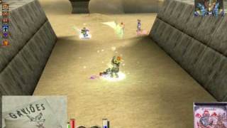 Priston Tale - RadarDruid PS 11x