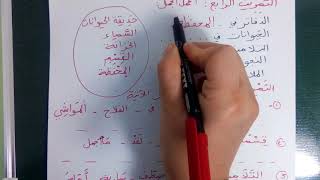 مراجعة  عامة للغة العربية للسنة الثانية ابتدائي