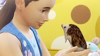 The Sims 4: My First Pet Stuff - Overview