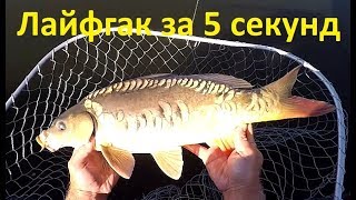 ЛАЙФГАК  по карпу + подводная сьемка