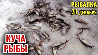 Рыбалка 31 декабря. Ловля белой рыбы зимой.