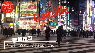 [4K](normal) NIGHT WALK in KABUKICHO Shinjuku / ナイトウォーク 新宿 歌舞伎町  #4K