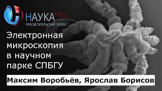 Максим Воробьёв, Ярослав Борисов - Электронная микроскопия в научном парке СПБГУ