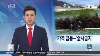 [KBS뉴스광장 경남] 2015.01.21(수) 뉴스 전체보기