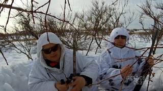 Гуси,охота 2019