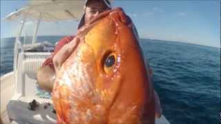 Fishing Jigging Fujairah UAE Red Snapper Tuna Trevally Grouper 2 Dec 2012