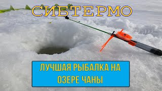 ЛУЧШАЯ ЗИМНЯЯ РЫБАЛКА НА ОЗЕРЕ ЧАНЫ ЗА СЕЗОН! ВЕСНА (МАРТ) 2019! РЫБАЛКА С НОЧЕВКОЙ С КОМФОРТОМ!
