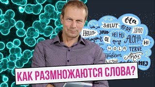 КАК РАЗМНОЖАЮТСЯ СЛОВА