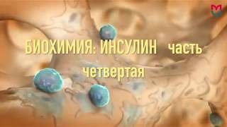 Биохимия Инсулин 4 часть