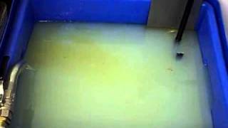 Tramp Oil Separator