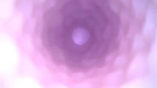 Fleshlight Dominika C Butterfly texture - inside cam
