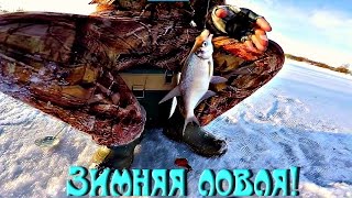 Рыбалка. Зима ловля, я в шоке!