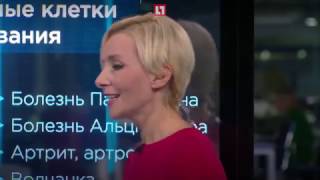 Стволовые клетки