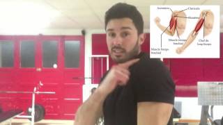 ☑ Douleurs à l'épaule ? NORMAL ! Voilà pourquoi...☑ Musculation ksCoaching