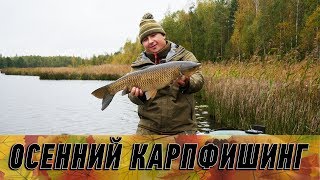 Карпфишинг поздней осенью. Ловля карпа по холодной воде!