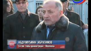 Новый питомник для бездомных собак скоро заработает в Махачкале