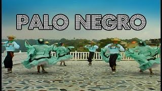 Cuerdas Colombianas - Palo Negro