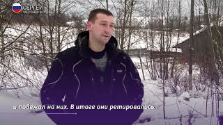 В Коми голодные волки нападают на собак