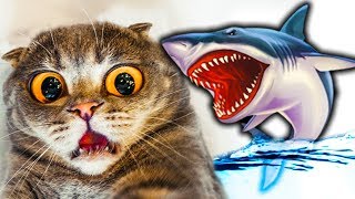 #4 КОТЕНОК РЫБОЛОВ симулятор кошачьей рыбалки АКУЛА утащила мою рыбу веселый летсплей от фгтв