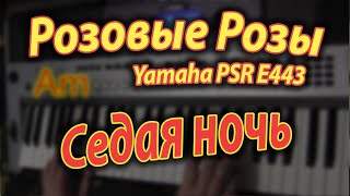 Светка Соколова и Седая ночь на Yamaha PSR E443 Хард рок, Аккорды