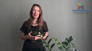 Ирина Маслова о себе (биоэнергет, энергокоуч) | для Самопознание.ру