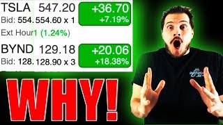 Tesla Stock went up $36 TODAY and Beyond Meat Stock up $20! Why?