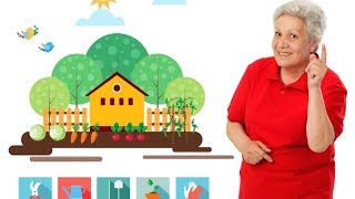 Голова садовая - Как правильно ухаживать за малиной