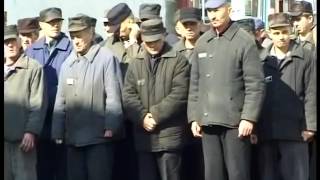 Криминал! Строгий режим, г Семилуки