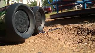 2X JBL Flip 4 Bass Test Connect+ Max Volume Shape Of You (Old video)