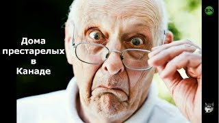 Дома престарелых в Канаде / Блогер и Хаски / Блогер БН