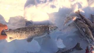 Первая весенняя рыбалка в Якутии Yakutia