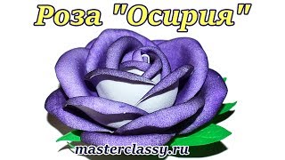 DIY Foam rose tutorial. Как сделать розу своими руками? Роза "Осирия" из фоамирана: видео урое