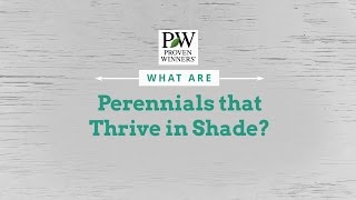 Perennials that Thrive in the Shade