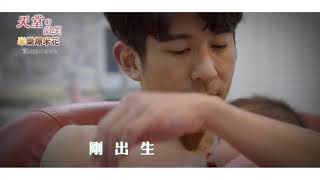 天堂的微笑｜希望你沒有遺憾