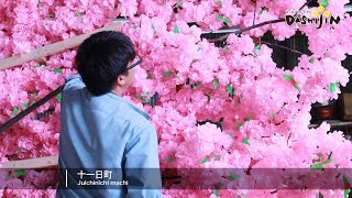 Hachinohe Sansha Taisai　(Japan)