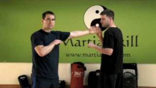 7 Star Mantis Kung Fu: Bung Da (Backfist) Technique
