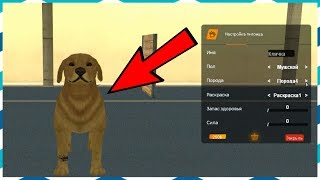 НЕРЕАЛЬНЫЙ ФУНКЦИОНАЛ НА RP СЕРВЕРЕ! ЖИВОТНЫЕ, РЫБАЛКА, КРАФТ, СКЕЙТ