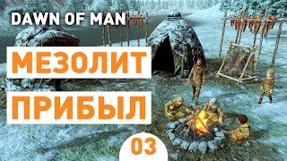 МЕЗОЛИТ ПРИБЫЛ! - #3 DAWN OF MAN ПРОХОЖДЕНИЕ