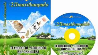 Как дома Выращивать Кур Бройлеров. Профилактика