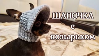 Шапочка с козырьком для собак мелких пород