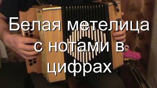 Белая метелица с нотами в цифрах