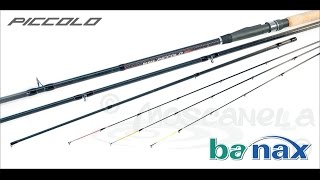 О ФИДЕРНЫХ УДИЛИЩАХ Banax Mega Feeder И Banax Piccolo