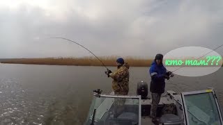Рыбалка на кубани. Кирпили