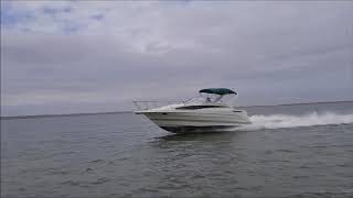 Bayliner 2855 Form Arci Marinas Poland  for Piotr Czakaj Poland