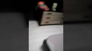 Смешное видео котёнок сосёт титю