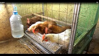 Клетка для несушек