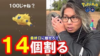 【ポケモンGO】タマゴマラソン最終日！最後に魅せたい色ケムシ！粘りのタマゴ14連！【最高の相棒】